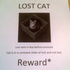 138909 - LOL Flyers