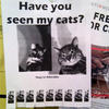 138907 - Popular Flyers, posters, funny, humor, lol - 3