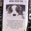 138875 - Popular Flyers, posters, funny, humor, lol - 2