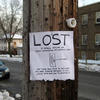 138902 - Popular Flyers, posters, funny, humor, lol - 4