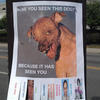 138899 - Popular Flyers, posters, funny, humor, lol - 3