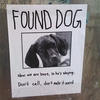 146163 - Unmoderated Flyers, posters, funny, humor, lol - 1