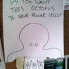 138934 - LOL Flyers