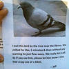 138926 - LOL Flyers